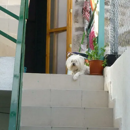 Cosy In The Center Of Penzion